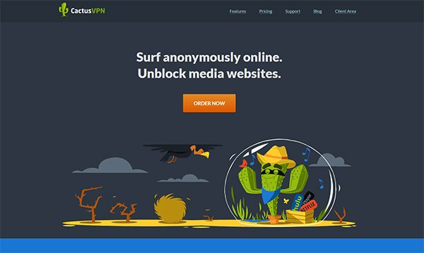CactusVPN Review