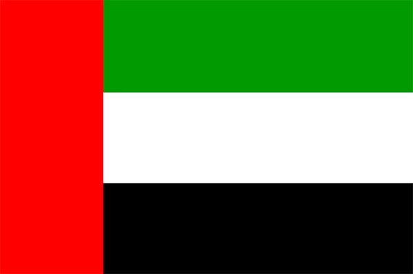 Best VPN for United Arab Emirates