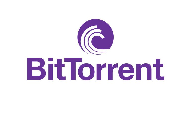 How to Check Your IP When You Are Downloading Torrents