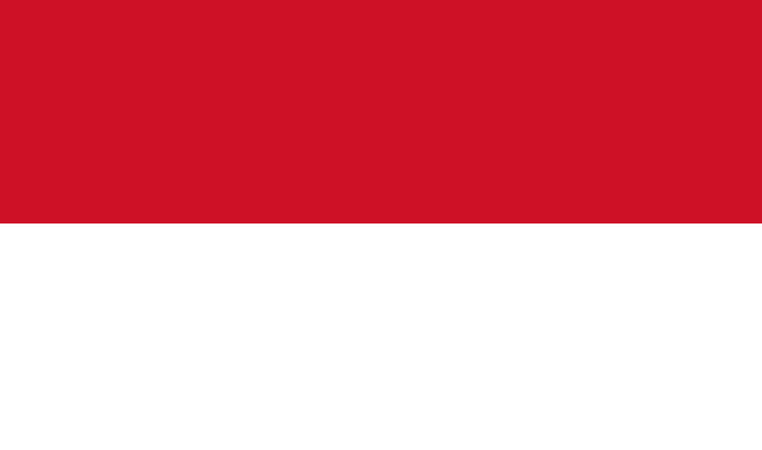 The Best VPNs for Indonesia