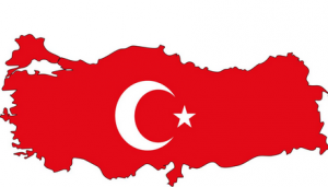 Turkey2