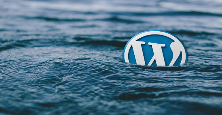 Hackers use different methods to attack WordPress sites but prefer File Upload, XSS, and SQL malware