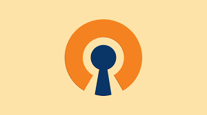 The Best VPNs for OpenVPN