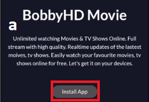 Best VPN for BobbyHD