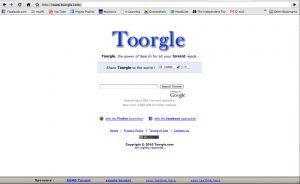 toorgle alternatives