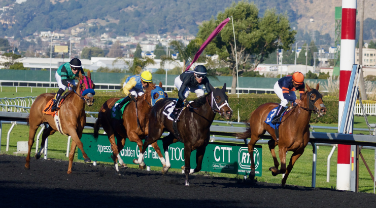 How to watch horse racing live using a VPN